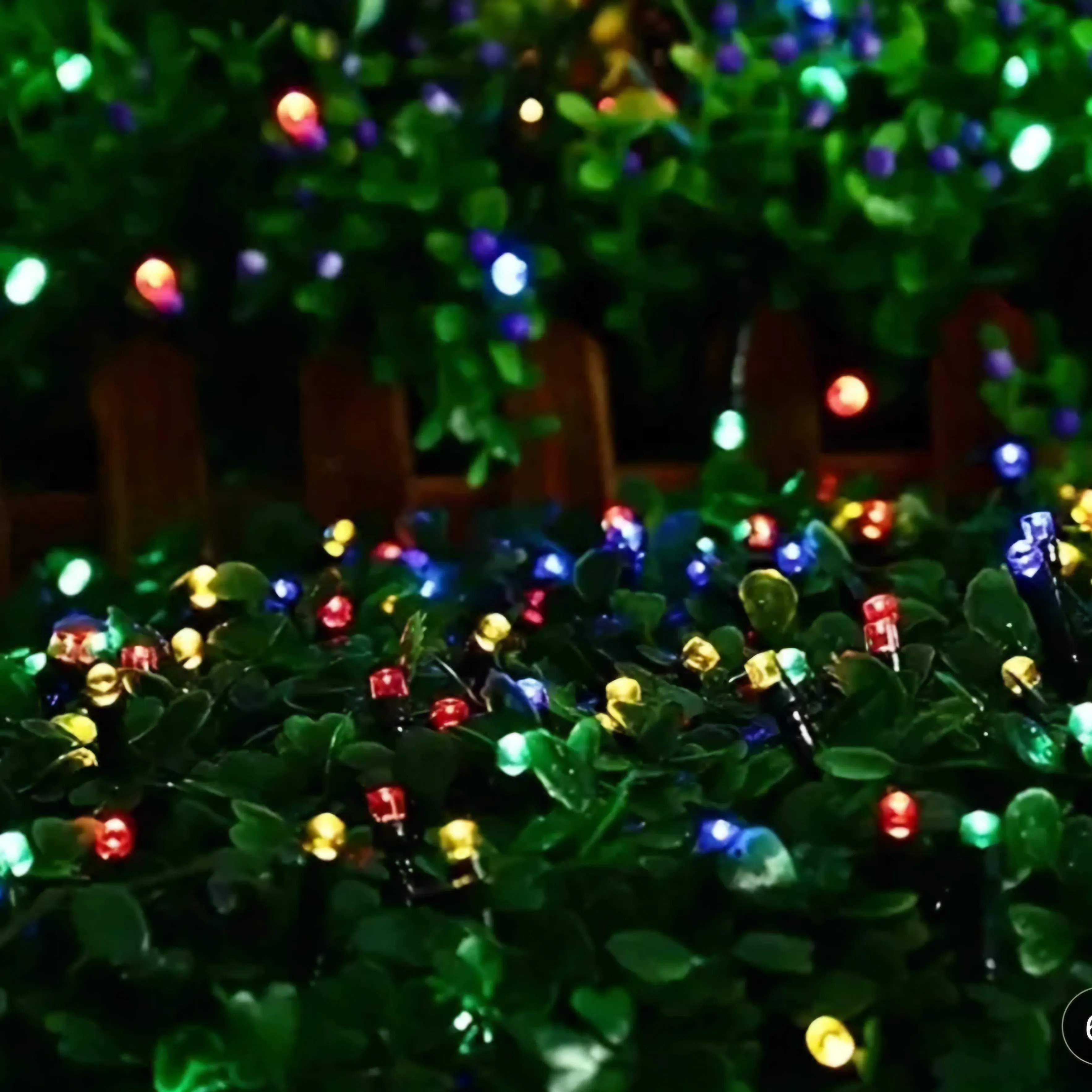 100 LED Twinkling Lights Multicolor