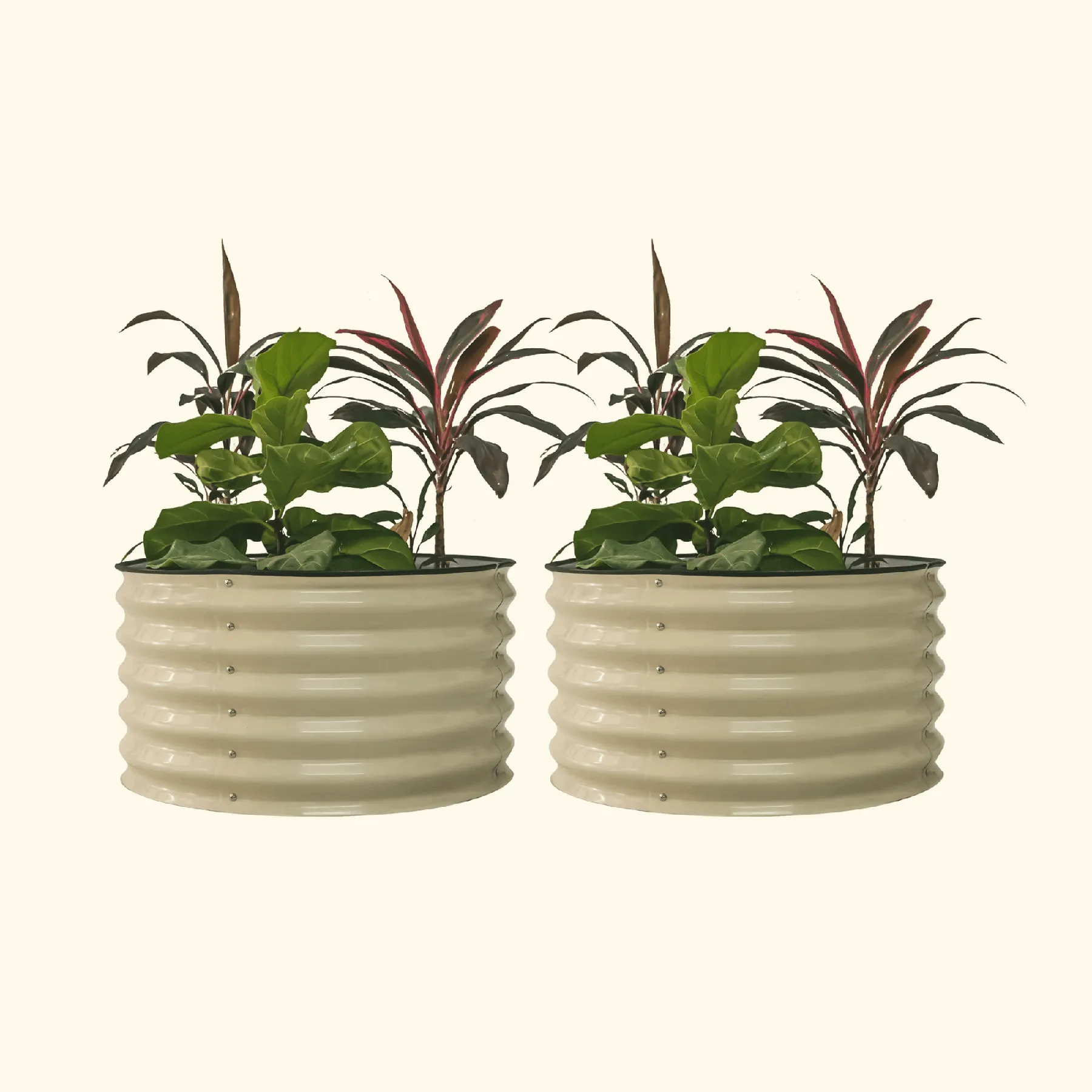 17" Tall Berry Garden Bed 30" Wide - Twin Pack