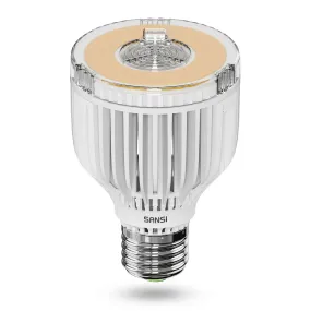 A19 40W LED 3000K/5000K Light Bulb(US ONLY)