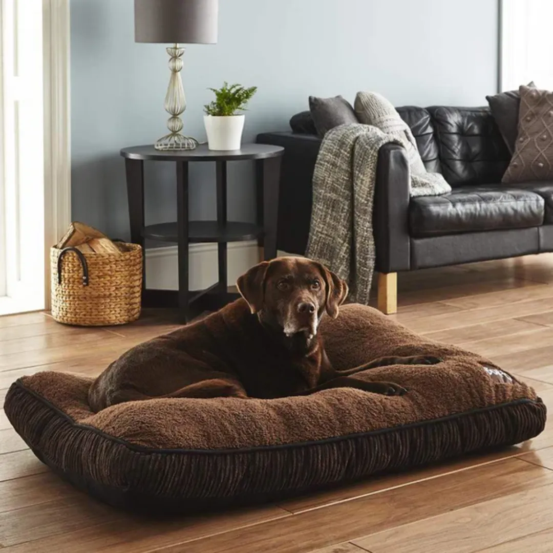 Bunty Snooze Dog Mattress