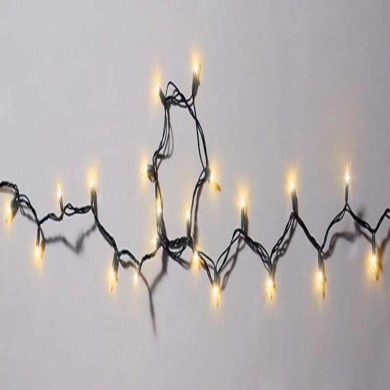 Celebrations LED Mini Warm White 50 ct String Christmas Lights 12.25 ft.