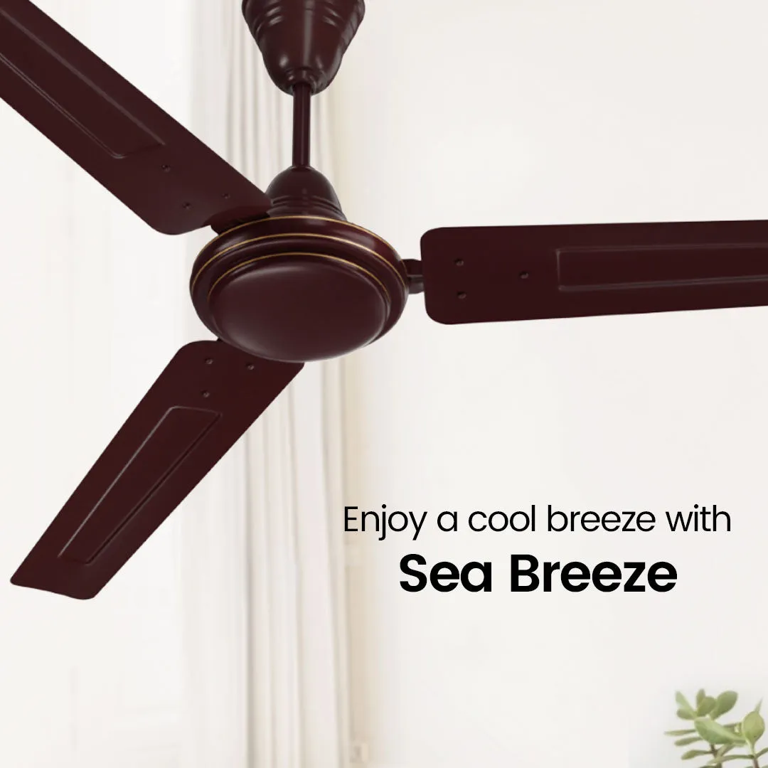 Crompton Surebreeze Sea Breeze | Star Rated Ceiling Fan