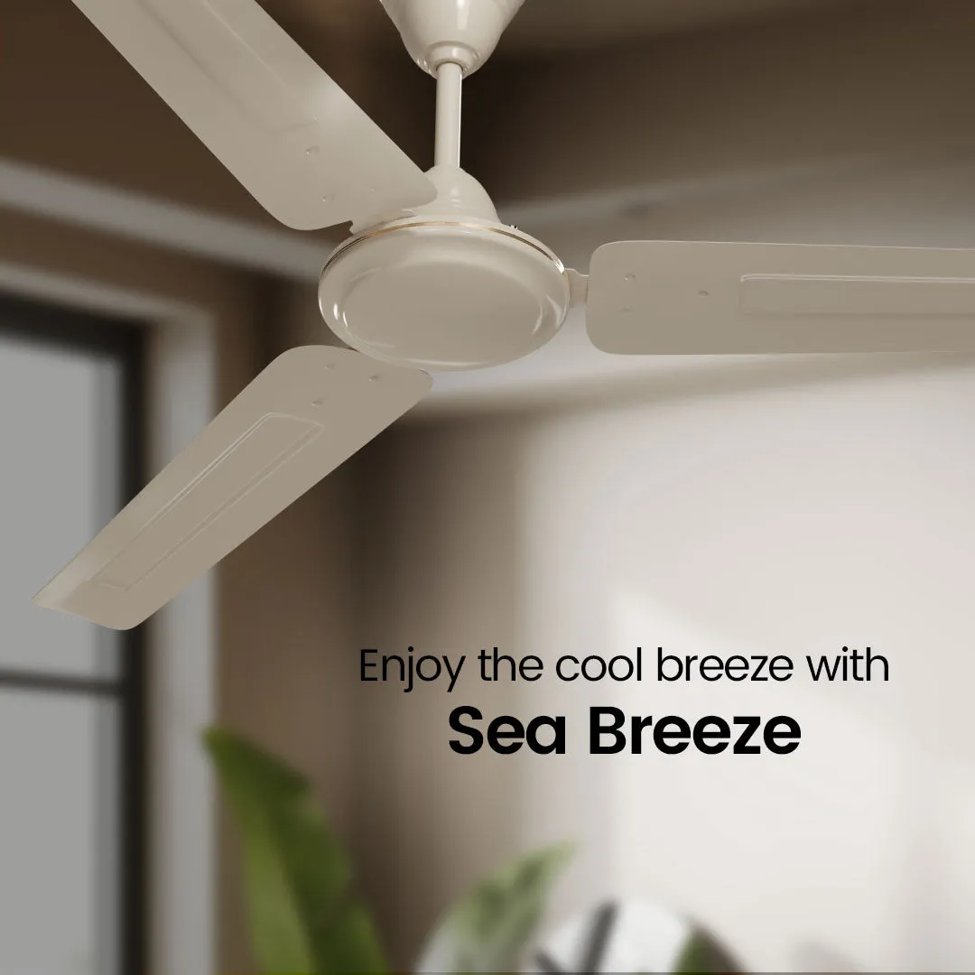 Crompton Surebreeze Sea Breeze | Star Rated Ceiling Fan