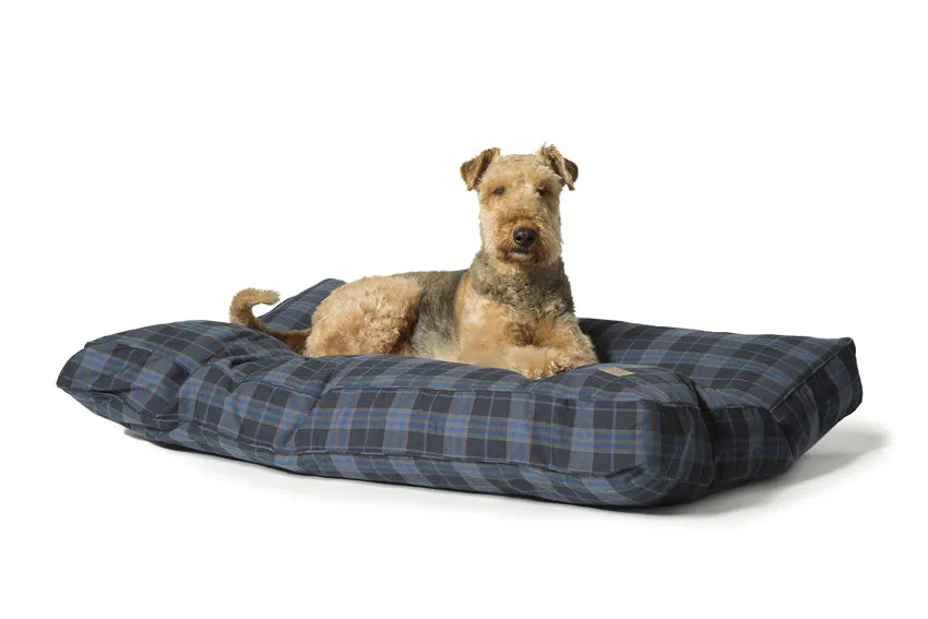 Danish Design Lumberjack Navy-Grey Box Dog Duvets