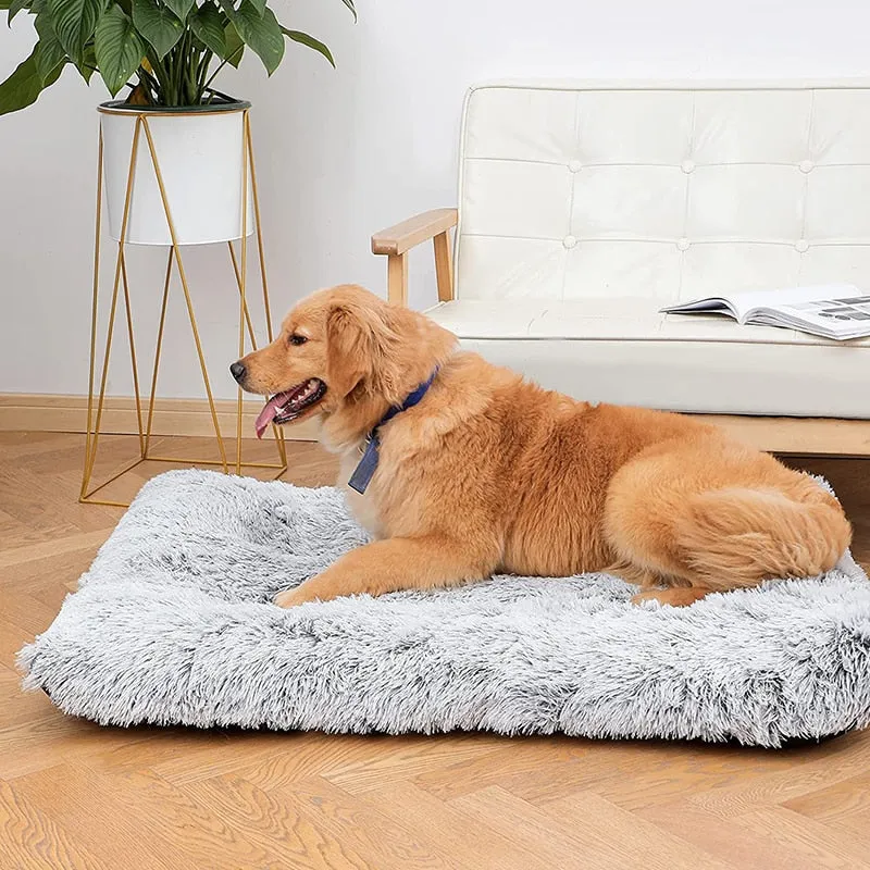 Dog Bed Mat  Beds Removable for Cleaning