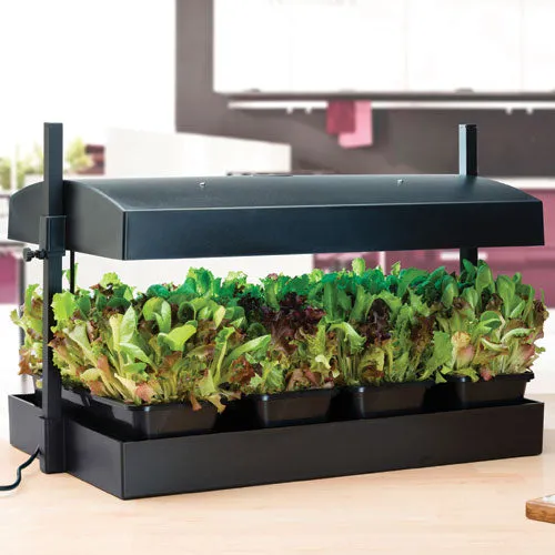 Grow Light Garden Propagator