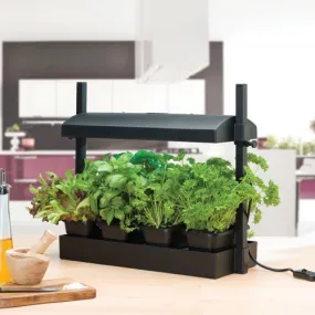 Grow Light Garden Propagator