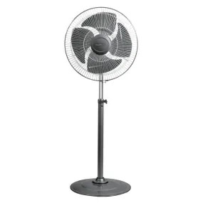 Havells Windstrom Pedestal Fan 450mm Black