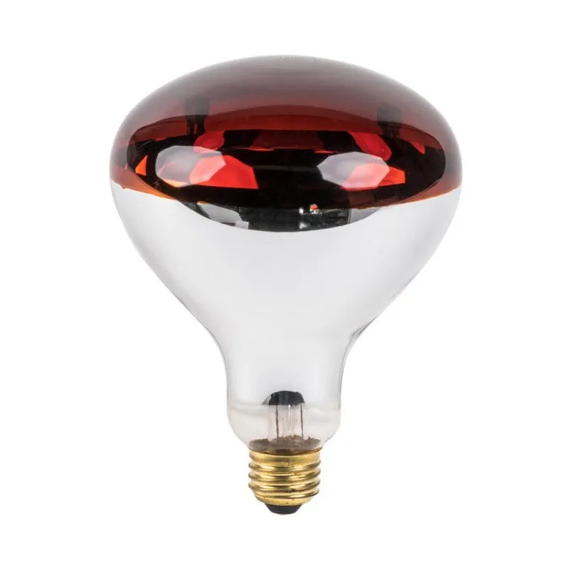 Infrared Bulb