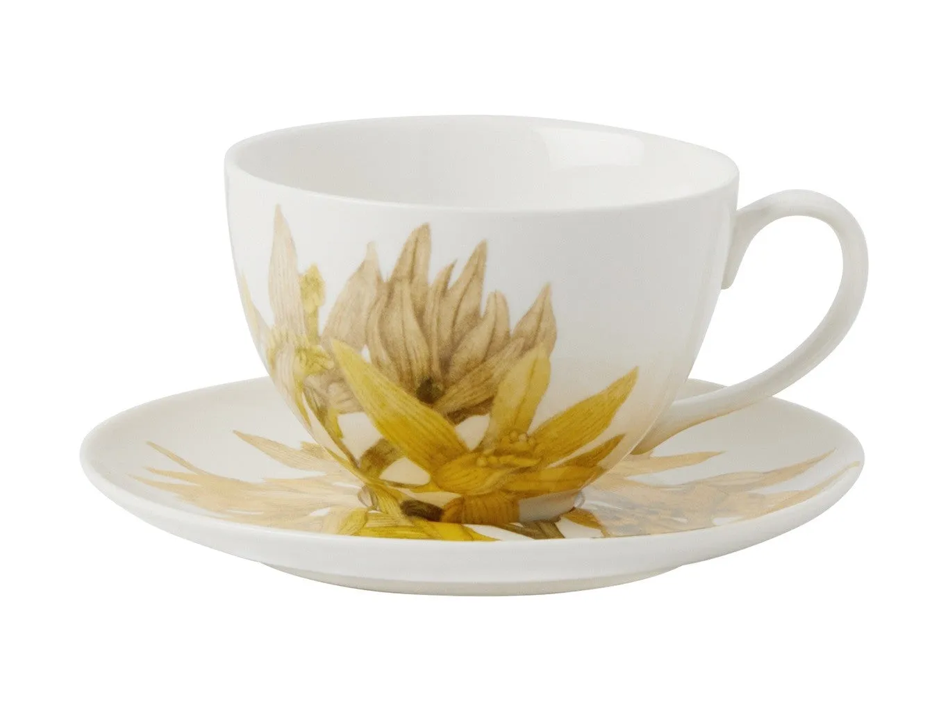 Maxwell & Williams Royal Botanic Gardens Australian Orchids Cup & Saucer 240ML Yellow Gift Boxed