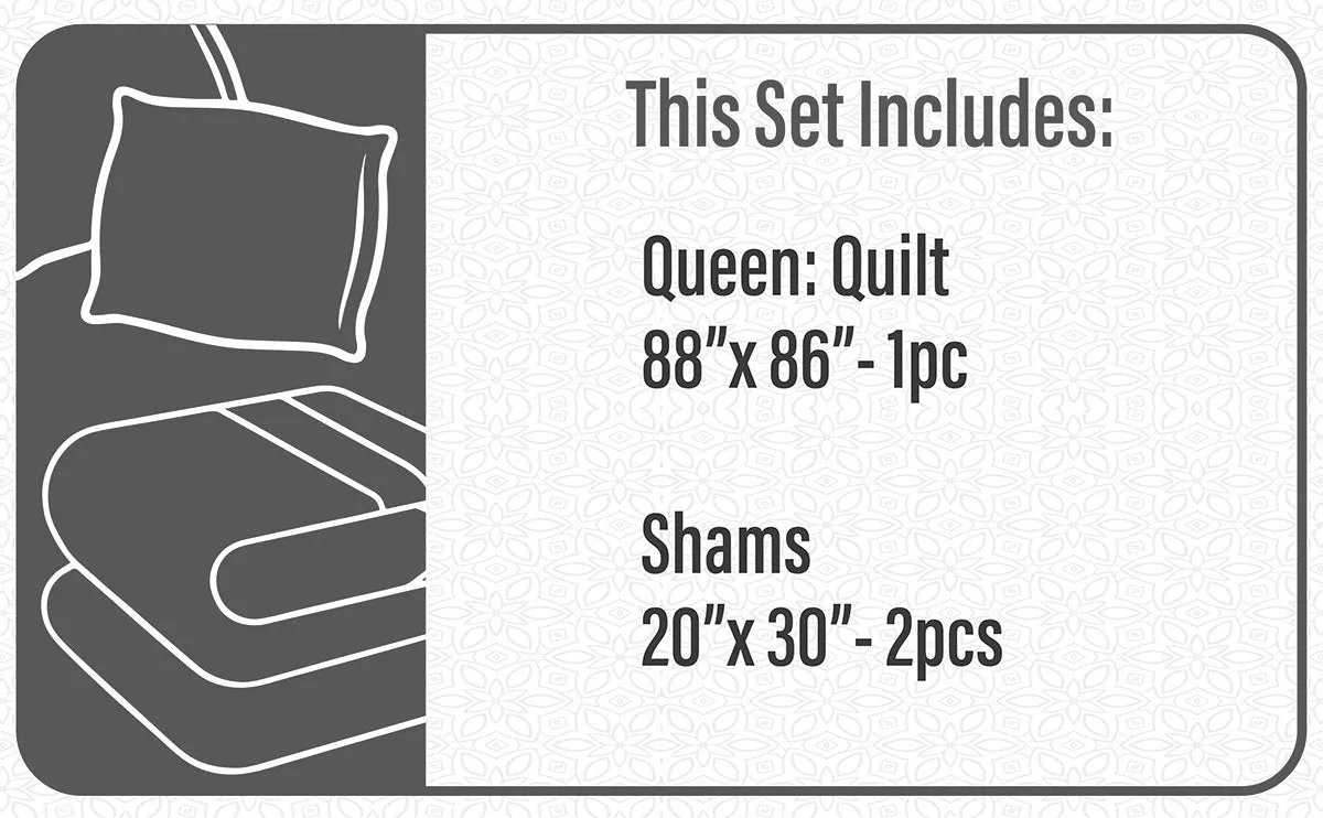 Quilt 3 Piece Set Double/Queen Dino Park