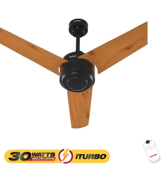 RL-150 - iTurbo 30 Watts Fan