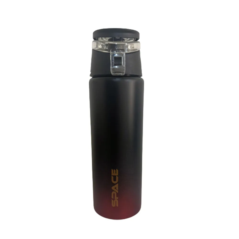 Stainless Space Water Bottle 600 ML